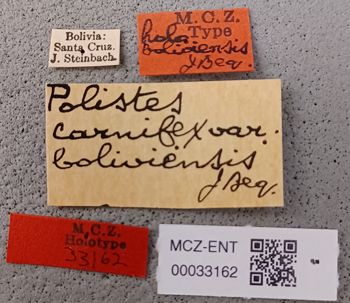 Media type: image;   Entomology 33162 Aspect: labels